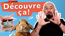 PDF Bonus in French with 10 idiomatic expressions about animals, exercises and correction